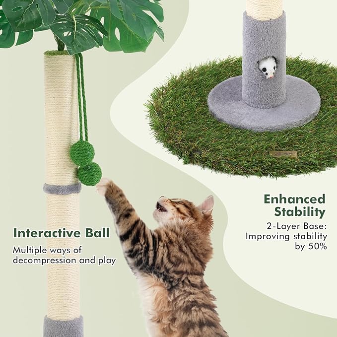 Cat Scratching Posts for All Cats with Hanging Ball and Sisal Rope Cat Toy, Simple Design - for Larger Cats - 35.43" Tall,Wooden Palm Tree Premium Basics Cat Toys Kitten（Grey