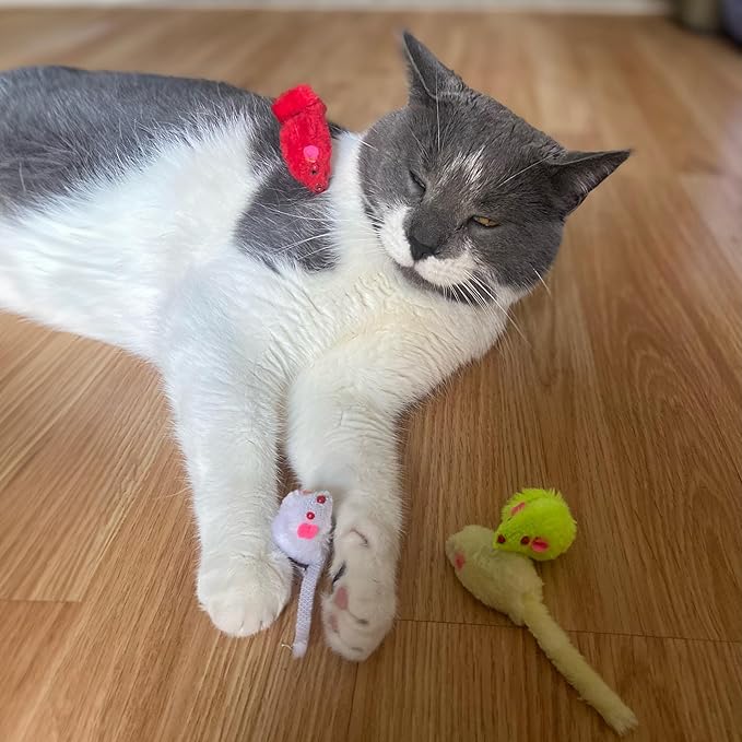 SPOT Colored Plush Mice Cat Toy - Rattle and Catnip Toy for Indoor Cats and Kittens - Bright Colored Classic Toy for Batting and Chasing Around - Fun Entertainment for Hours - 4.5inch Assorted 4-Pack