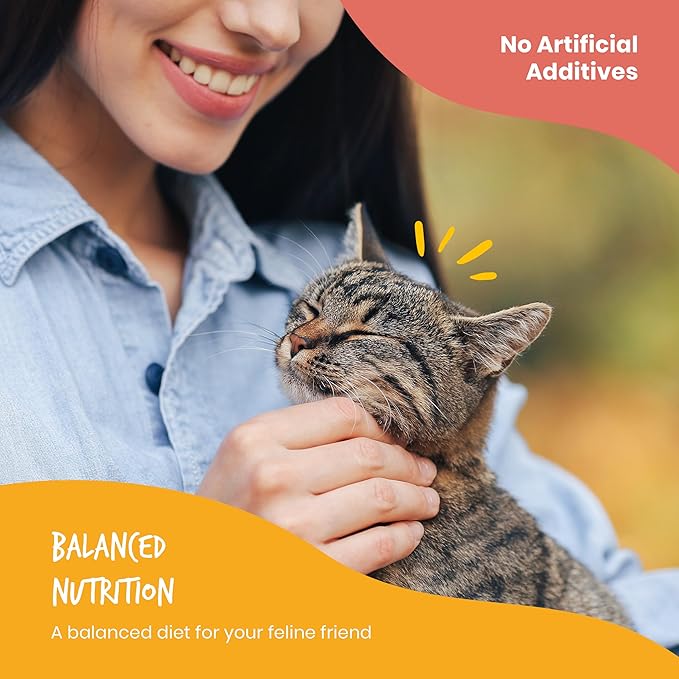 Beefeaters Cat Treats - Salmon Pate 3oz, Case of 24 | Nutrient-Rich Wet Cat Food, Essential Vitamins & Taurine, No Artificial Additives | Supports Immune System & Vision | Training Treats