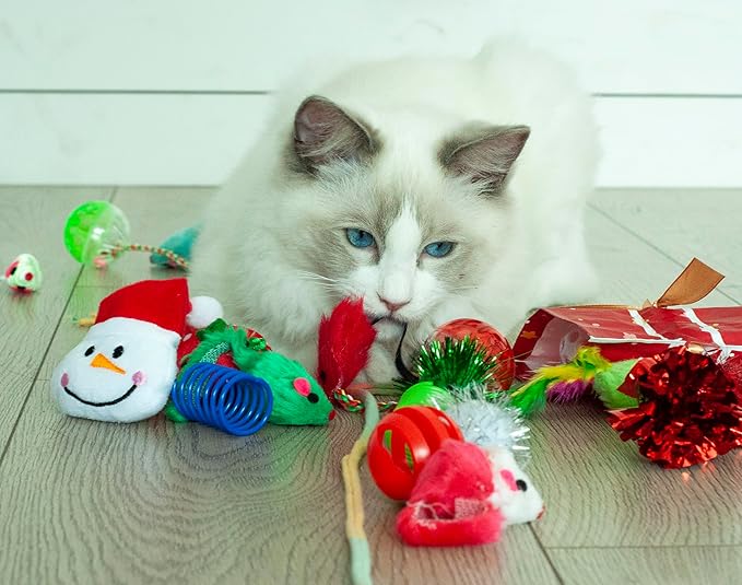 Fashion's Talk Christmas Cat Toys 20 Count Kitten Gift Bag, Holiday Variety Pack for Indoor Cats,Xmas Set Assorted Toys Interactive Play