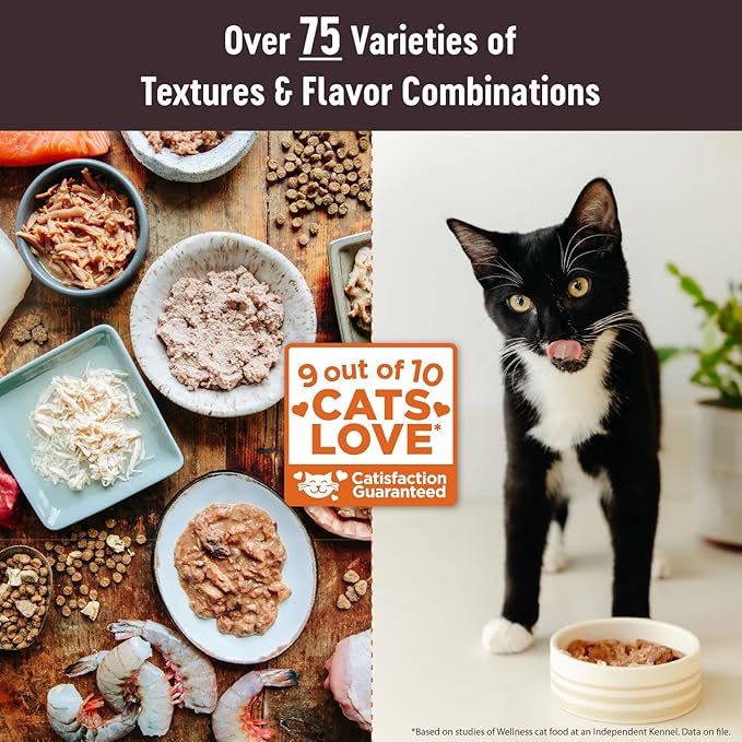 Wellness CORE Tiny Tasters Wet Cat Food, Complete & Balanced Natural Pet Food, Made with Real Meat, 1.75-Ounce Pouch, 12 Pack (Adult Cat, Chicken & Beef Pate)