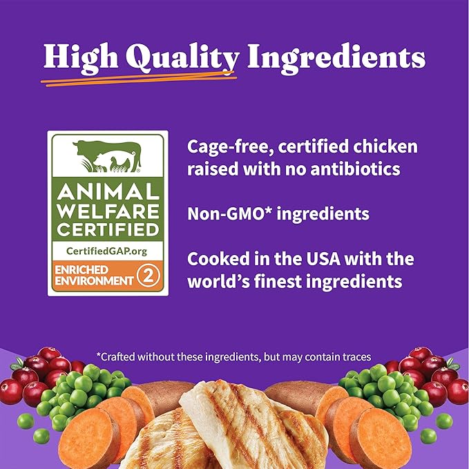 Halo Holistic Kitten Food Dry, Grain Free Cage-free Chicken Recipe, Complete Digestive Health, Dry Cat Food Bag, Kitten Formula, 3-lb Bag