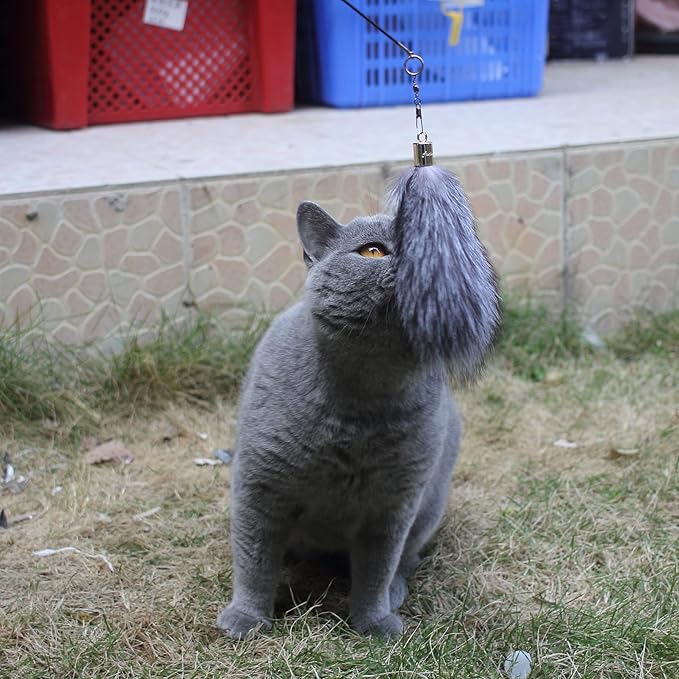 Fosrion Real Raccoon Tail Fur Cat Bites Toy with Three Section Retractable Carbon Fiber Rod (Raccoon) (3 Fox Fur Piece, Only Tail)