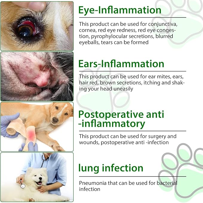 Antibiotics for Dogs, Dog Antibiotics, Dog Supplies Antibiotics, Natural Dog Antibiotics Supports Dog Allergy and Itch Relief, Dog Multivitamin for Pets-60ml / 2 Fl Oz