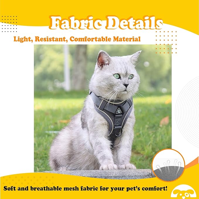 PetnBeyond Kitten Harness and Leash Set - Secure, Comfortable Control with Breathable Mesh Jacket - Adjustable Vest for Safe Walks with Reflective Strips - Kitty Escape Proof Kit (Small, Blue)