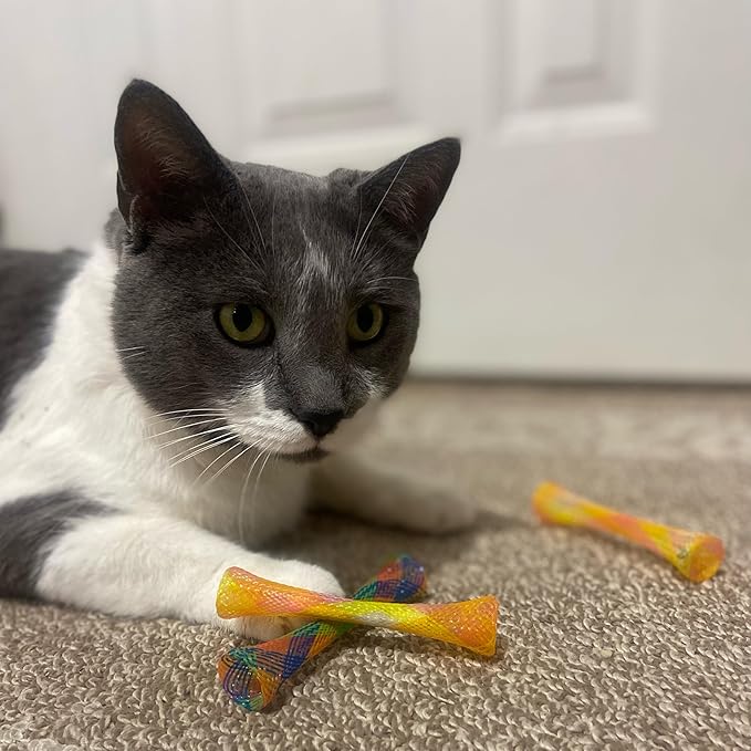 SPOT Ethical Pet Catnip Cat or Kitten Toy, Colorful Fun Tubes. Interactive Bouncy cat Toy, Assorted Color
