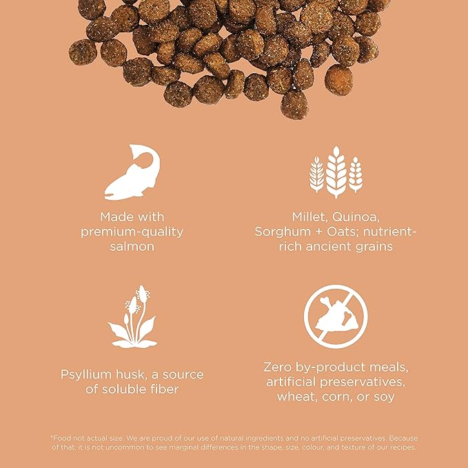 Go! Solutions Digestion + Gut Health, Dry Cat Food, Salmon Recipe with Ancient Grains, 8 lb Bag