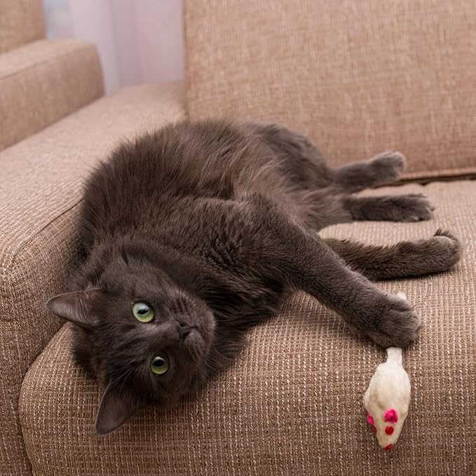 Set of 10 Toy mice 10 Pieces with Bell and Without Plastic Parts Outside (Eyes, Nose) I Soaked in Catnip Cat Toy