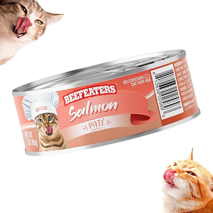Beefeaters Cat Treats - Salmon Pate 3oz, Case of 24 | Nutrient-Rich Wet Cat Food, Essential Vitamins & Taurine, No Artificial Additives | Supports Immune System & Vision | Training Treats