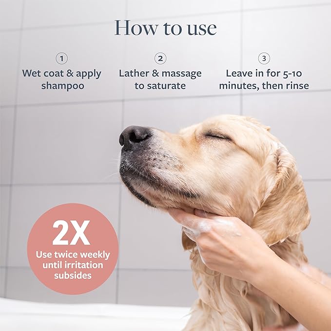 Veterinary Formula Clinical Care Hot Spot & Itch Relief Medicated Shampoo for Dogs and Cats 16 Fl Oz – Helps Alleviate Sensitive Skin, Scratching, and Licking of Coat (2 Pack)