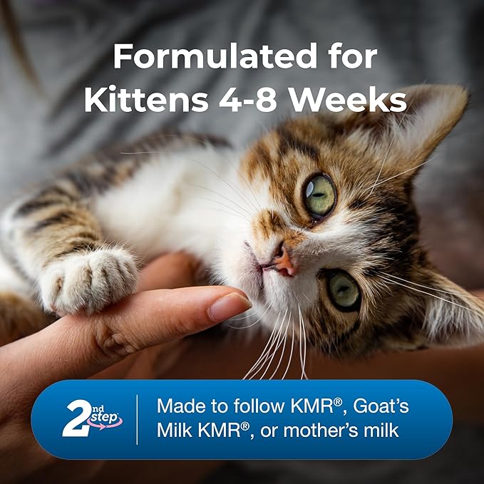PetAg KMR 2nd Step Kitten Weaning Food - 14 oz, Pack of 2 - Powdered Kitten Weaning Formula with DHA, Natural Milk Protein, Vitamins & Minerals for Kittens 4-8 Weeks Old - Easy to Digest