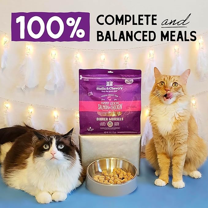 Stella & Chewy’s Freeze-Dried Raw Cat Dinner Morsels – Grain Free, Protein Rich Cat & Kitten Food – Yummy Lickin’ Salmon & Chicken Recipe – 8 oz Bag