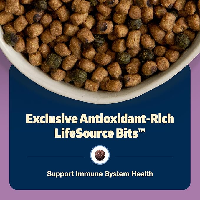 Blue Buffalo Freedom Grain-Free Adult Dry Cat Food, Complete & Balanced Nutrition for Indoor Cats, Made with Natural Ingredients, Chicken Recipe, 5-lb. Bag