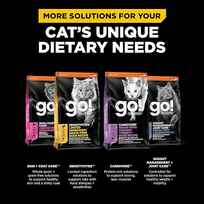 Go! Solutions Digestion + Gut Health, Dry Cat Food, Salmon Recipe with Ancient Grains, 8 lb Bag
