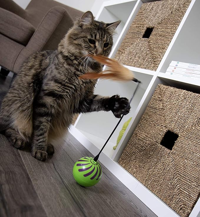 SmartKat (2 Count) Feather Whirl Electronic Motion Wand Cat Toys, Includes (2) Extra Wands, Battery Powered - Green, 2 Count