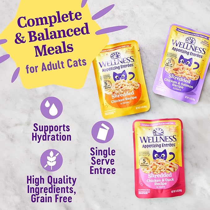 Wellness® Appetizing Entrées™ Shredded Chicken Recipe in Sauce Natural Wet Cat Food, 1.4 oz Pouch (Pack of 8)