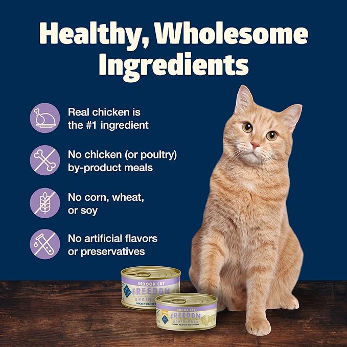 Blue Buffalo Freedom Grain-Free Adult Wet Cat Food, Complete & Balanced Nutrition for Indoor Cats, Made with Natural Ingredients, Flaked Chicken Recipe, 5.5-oz Cans,(24 Count)