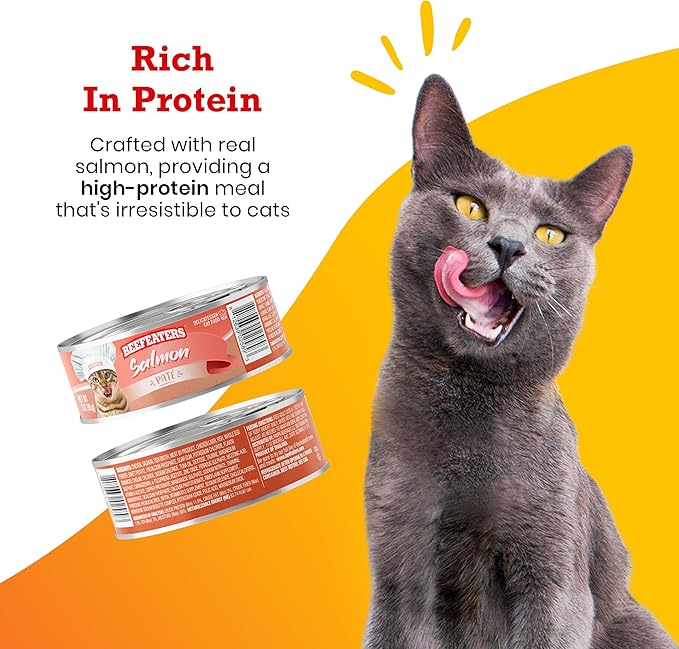 Beefeaters Cat Treats - Salmon Pate 3oz, Case of 24 | Nutrient-Rich Wet Cat Food, Essential Vitamins & Taurine, No Artificial Additives | Supports Immune System & Vision | Training Treats
