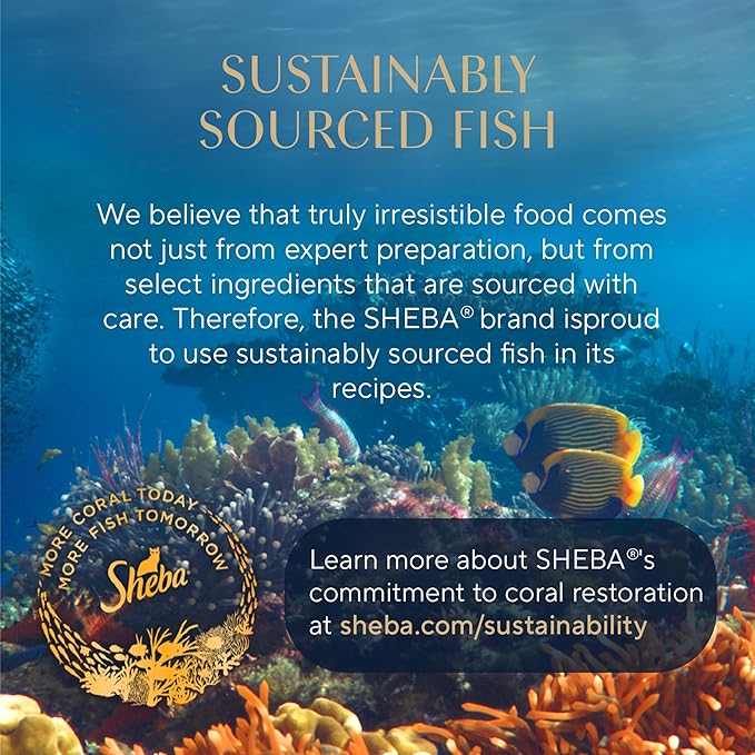 Sheba Perfect Portions Wet Cat Food Cuts in Gray Savory Mixed Grill Entree, 2.6 oz. Twin-Pack Trays (24 Count, 48 Servings)