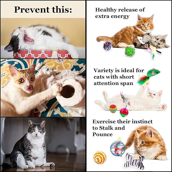 CoCoo Ferret & Cat Toy Variety Pack, Activity Set of Mylar Balls, Chew Toys, Catnip Pouches, Play Mice & Bells, Great for Persians, Maine Coons, Calicos & Tabby Cats, 20 Pcs