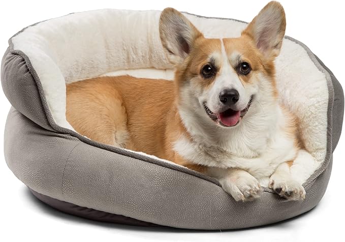 Best Friends by Sheri Pet Throne Gray Jumbo Round Orthopedic Cat and Dog