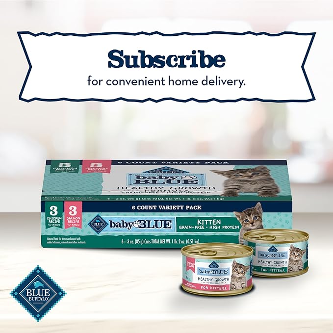 Blue Buffalo Baby Blue Natural Grain-Free Wet Food for Kittens, Healthy Growth Formula with DHA, High-Protein Salmon Paté, 3 oz Can