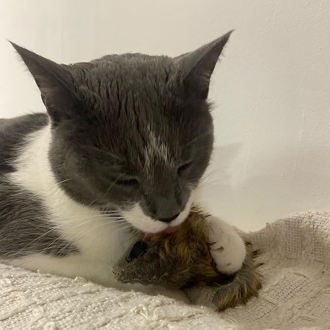 Ethical SPOT Shaggy Plush Giant Mouse - Cat Toy, Fuzzy Mice with Catnip and Rattle Toy for Indoor Cats and Kittens, Perfect Size for Pouncing on, Chasing, Hunting - 8.5in, 1 Piece