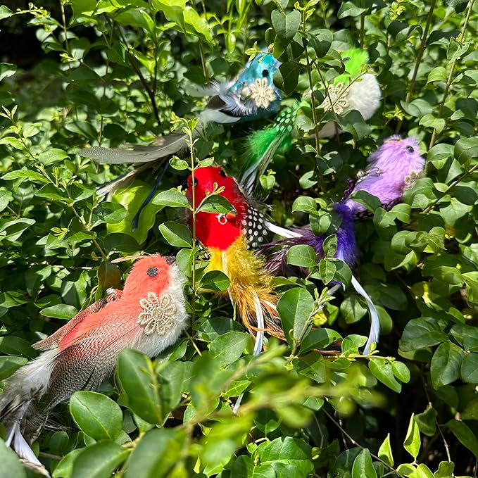 Cat Feather Toys Refill Cat Wand Attachments, 5 PCS Feathers Cat Toy Refills, Cat Wand Replacement Feather Bird for Cat Toys