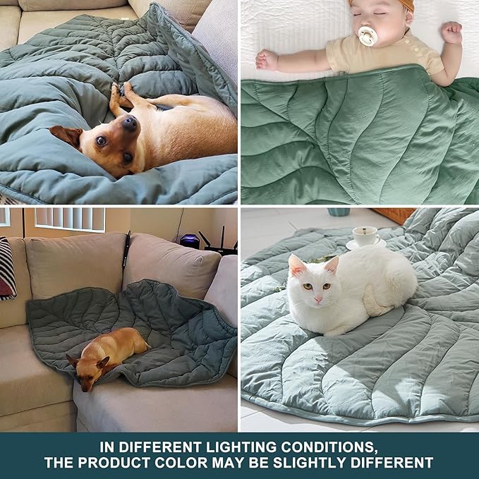 Dropshipful Dog Blanket for Large Dog, Leaf Shaped Cotton Pet Blanket, Cat Blanket for Indoor Cat, Leaves Blanket for Bed, Couch, Sofa Protection (56"x42",Green)