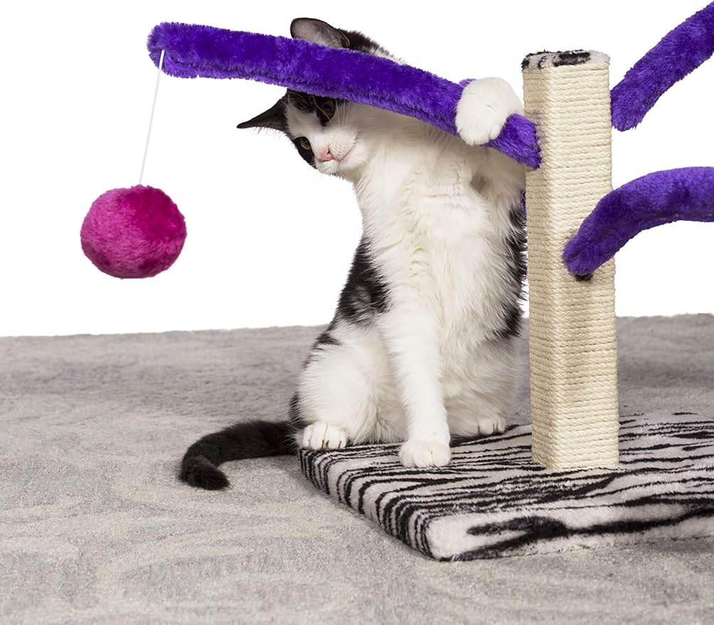 Prevue Pet Products Kitty Power Bounce 'n Spring Scratcher Furniture purple Small