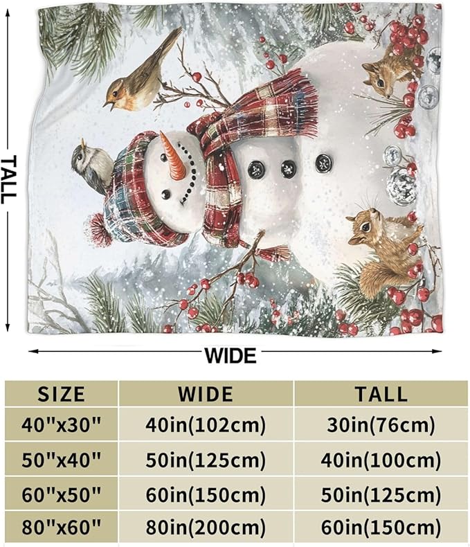 Winter Snowman Blanket Soft Cozy Snowman Plush Throw Blanket Super Warm Fleece Fuzzy Bedding Blanket for Kids Girls Boys Women Bed Decor Stuff 40"X50"