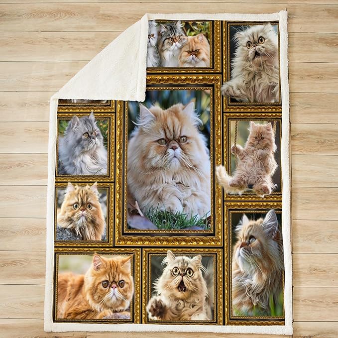 Feelyou Garfield Print Fleece Throw Blanket for Bed Sofa Couch Cute Cat Plush Blanket 40"x50" Kawaii Kitten Sherpa Blanket Gift for Garfield Lover Fuzzy Blanket Flannal Blanket