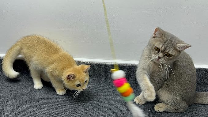 3 PCS Cat Toy Door Hanging Teaser Cat Swing Toy Interactive Toy Hanging Door Retractable Cat Wand Toy Interactive Hanging Cat Toy Cat Mental Exercise Toy Cat Feather Toy for Play Chase