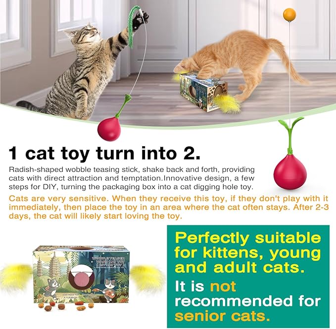 Cat Interactive Toys for Indoor Cats Kitten Tumbler Balls Kitty Feather Toy Teaser Wand String Birthday Gift US
