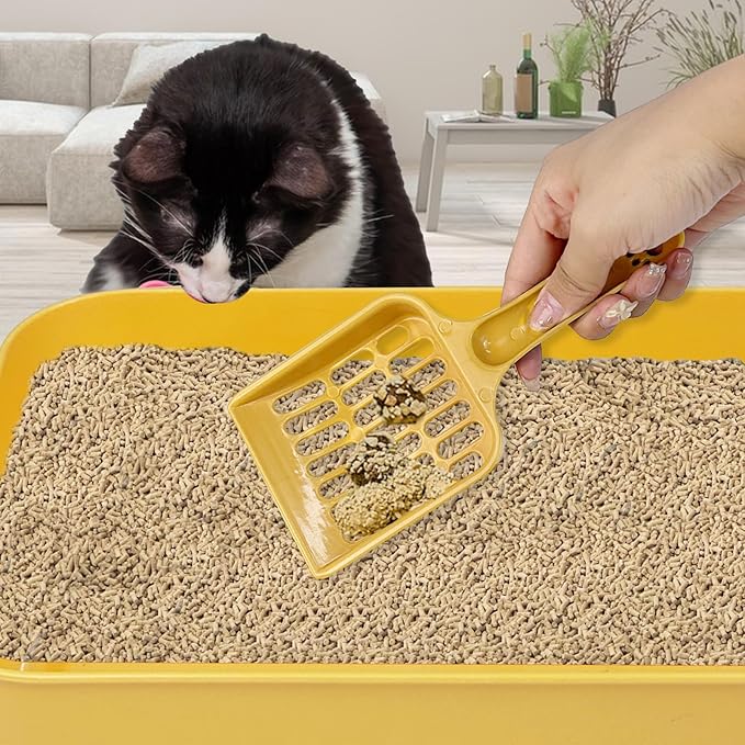 5 Pcs Small Litter Box Set,13.9 x 9.8 x 3 Inch Open Plastic Kitten Litter Pan with 5 Scooper, Low Entry Portable Cat Litter Box Travel Toilet Tray for Small Pet Kitty Bunny Guinea Pig, Easy to Clean