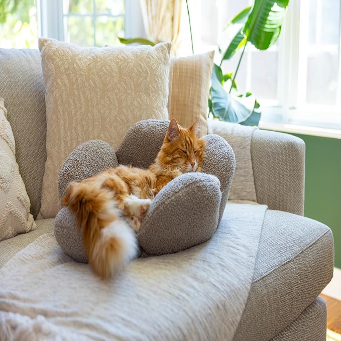 Catstages Purrfect Petals Washable Flower Shaped Round Cat Bed for Indoor Cats, Plush, Tan