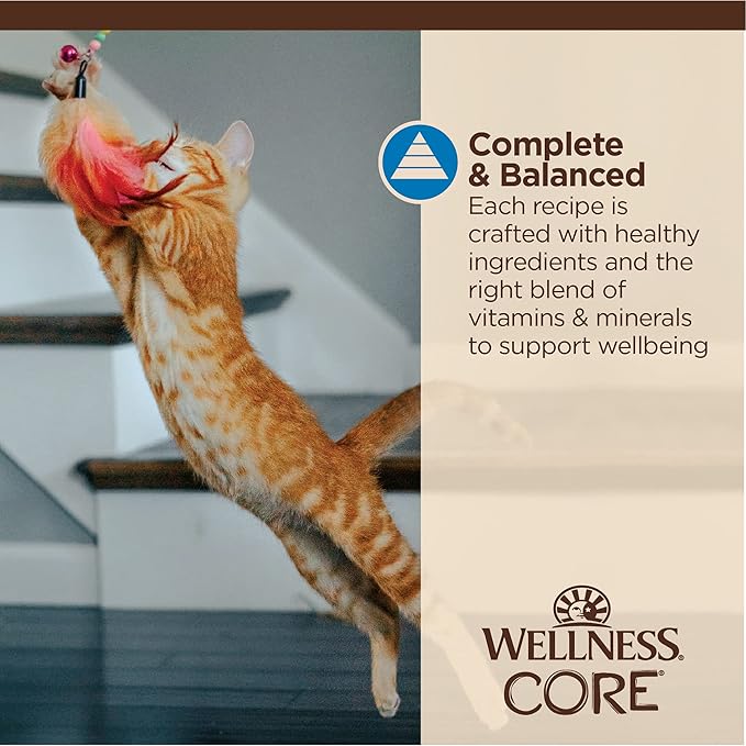 Wellness CORE Tiny Tasters Wet Cat Food, Complete & Balanced Natural Pet Food, Made with Real Meat, 1.75-Ounce Pouch, 12 Pack (Adult Cat, Flaked Tuna & Shrimp)