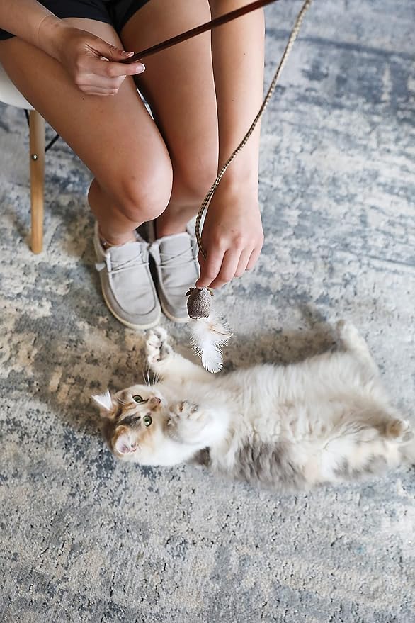 OurPets Play-N-Squeak Teathered & Feathered Play Wand Cat Toy, for All Breed Sizes