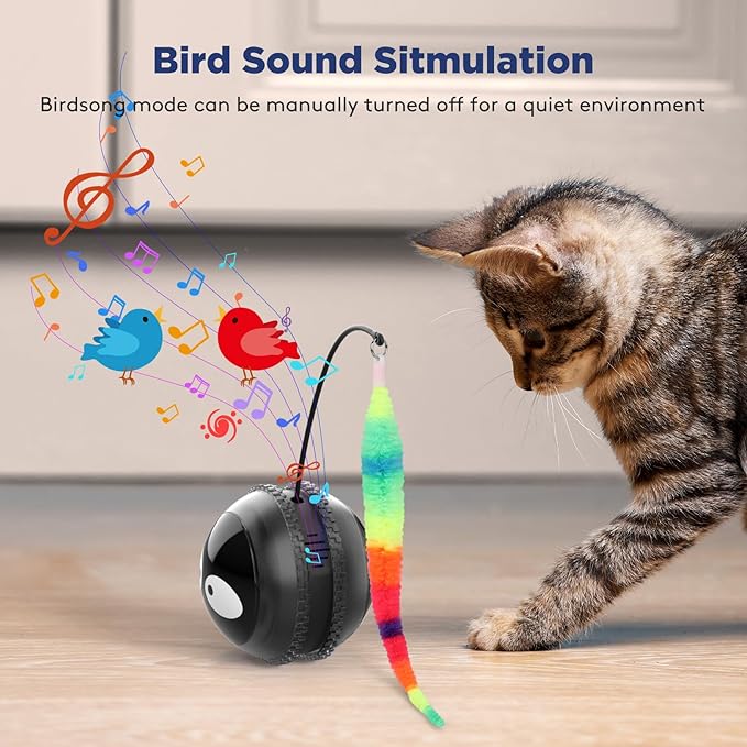 Cat Toys for Indoor Cats, Innovative Interactive Cat Toy Ball with Bird Chirping, USB Rechargeable Automatic Exercise Rolling Cat Toy for Bored Indoor Adult Cats Kittens, Black