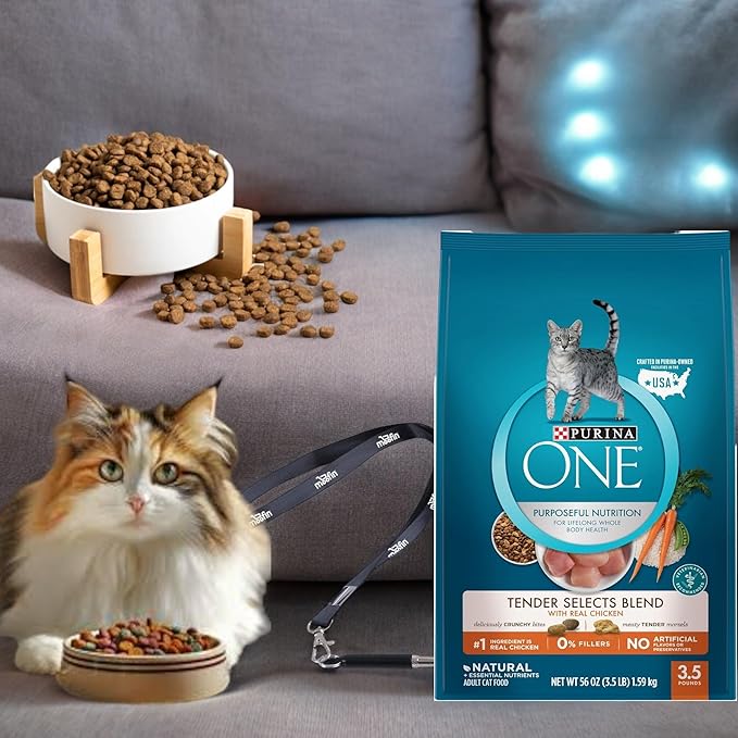 Purina ONE Natural Dry Cat Food, Real Chicken High-Protein Dry Cat Food, Supports Strong Muscles Energy SS Pet Training Whistle, Antioxidant-Rich for Immune Support, Cat Food [1-Pack]