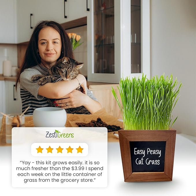 Organic Cat Grass Kit with 3 Rustic Wood Planters, Seeds and Soil. Easy to Grow for Indoor or Outdoor Cats, Dogs and Other Pets. 3 Planters to Continuous Growth of Kitty Grass.