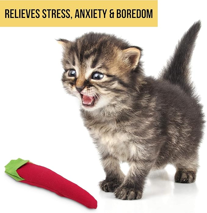 OurPet's 100-Percent North American Catnip Filled Chili Cat Toy-Hot Stuff (Interactive Cat Toy, Catnip Toys for Cats, Cat Chew Toy, Catnip Toys)