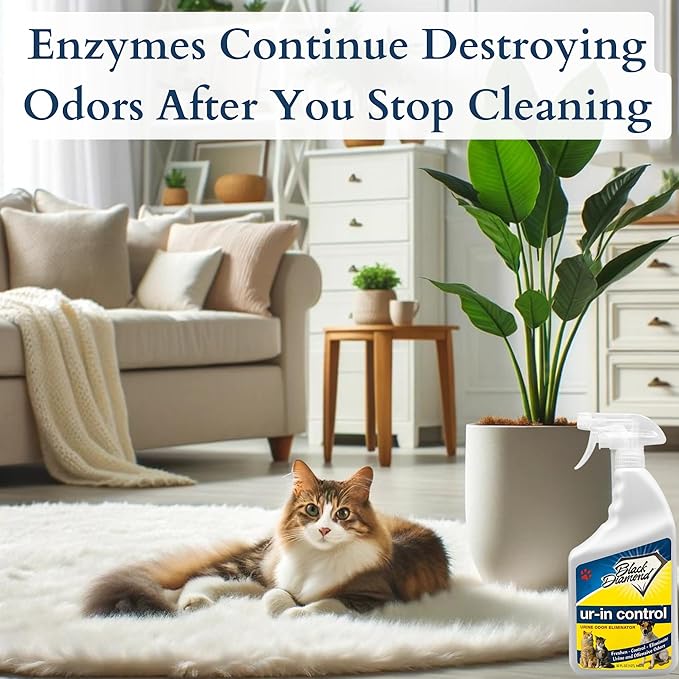 Black Diamond Stoneworks Eliminates Urine Odors – Controls Cat, Dog, Pet & Human Smells from Carpet, Furniture, Mattresses, Grout and Pet Bedding & Concrete. Biodegradable Enzymes 32 Oz. Spray