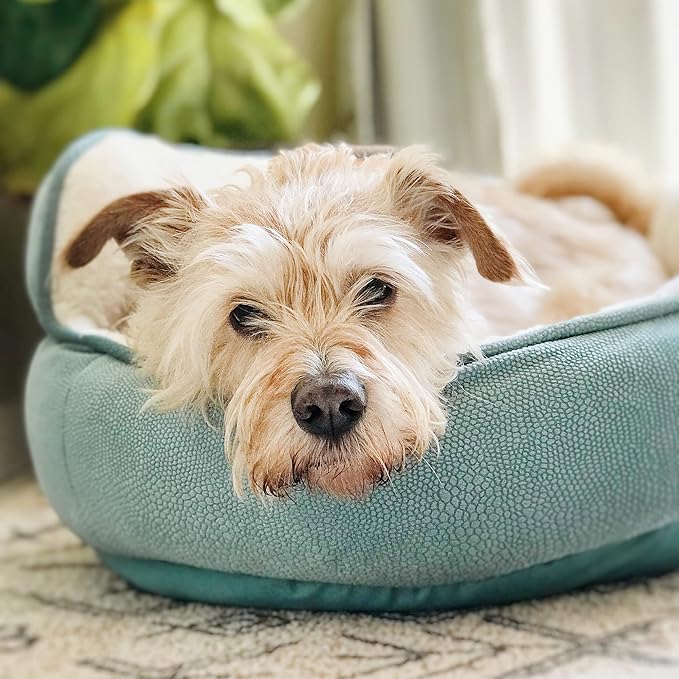 Best Friends by Sheri Throne High Bolster Orthopedic Relief Cat and Dog Bed in Mini Tide Pool