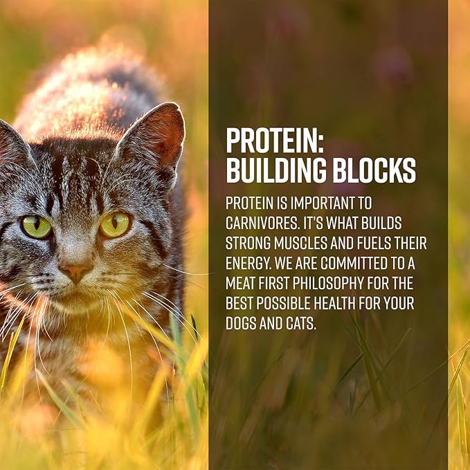 Essence Ranch & Meadow CAT Recipe Dry CAT Food, 4LB Bag