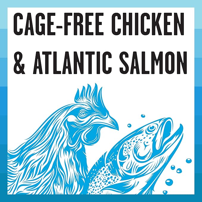 BIXBI Rawbble Dry Food Chicken Salmon Recipe for Indoor Cats, 3lb