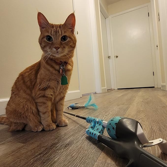Cat Caster Fishing Pole Toy | Tangle Free, Retractable & Easy to Store. Includes Two Interchangeable Teaser Toys | The Ultimate Gift for Kitty Lovers, Cat Camo