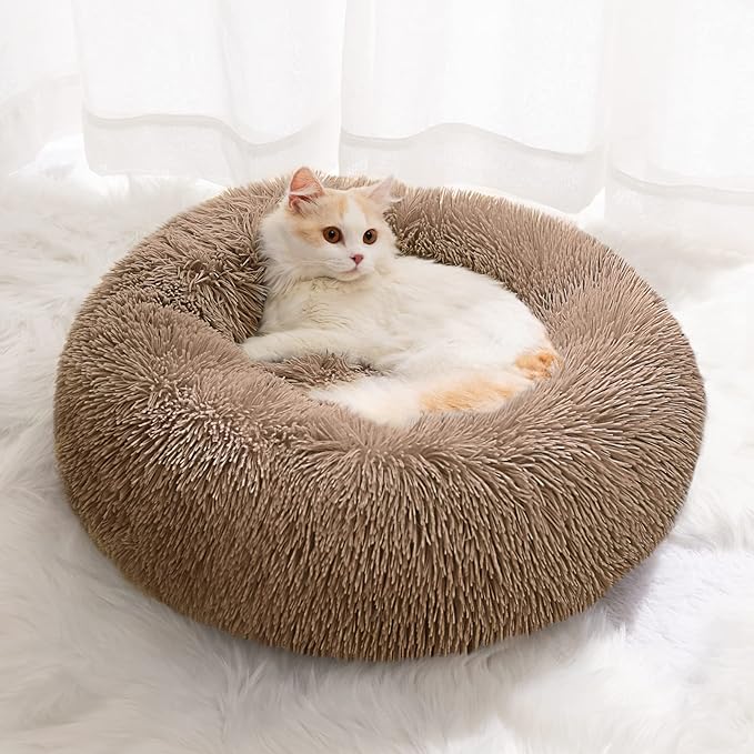 Small Cat Bed for Indoor Cats, Self-Warming Donut Kitty Bed for Small Cats Keeping Warm, Washable Pet Bed with Anti Slip Base, LightCoffee 20‘’