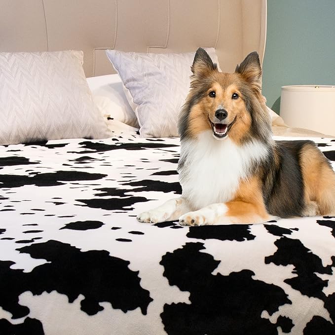 Cow Print Blanket Soft Warm Twin Blankets and Throws Bedding Fleece Blanket Cozy Flannel Black Lightweight Fuzzy Couch Sofa Bed Throw Gifts for Mother Father 60x80 inch