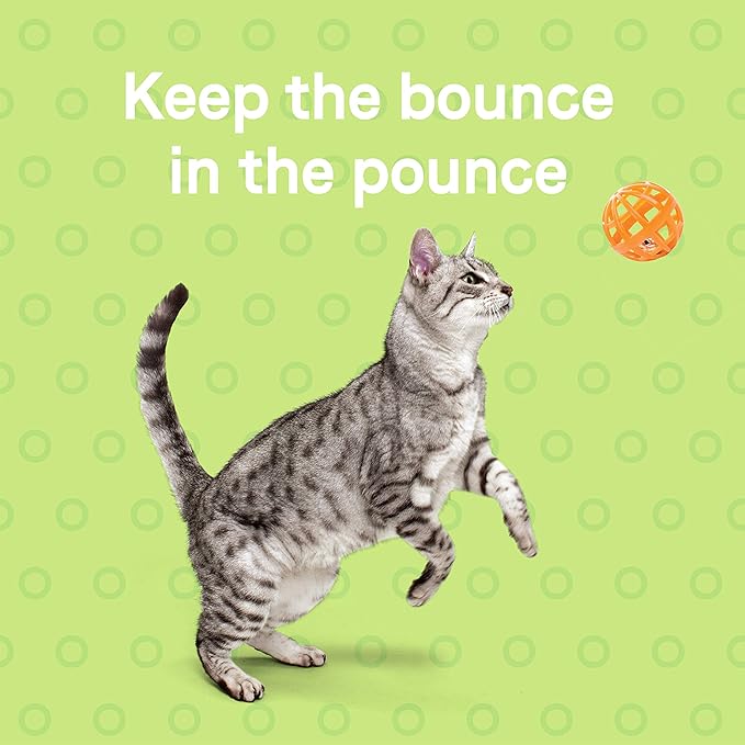 Canidae Goodness for Joints, Premium Adult Dry Cat Food with Real Salmon, 5 Lbs.